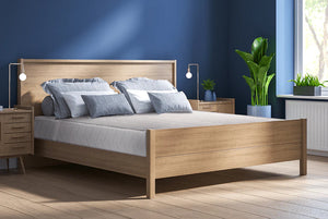 Dušek Argento od Sleepy