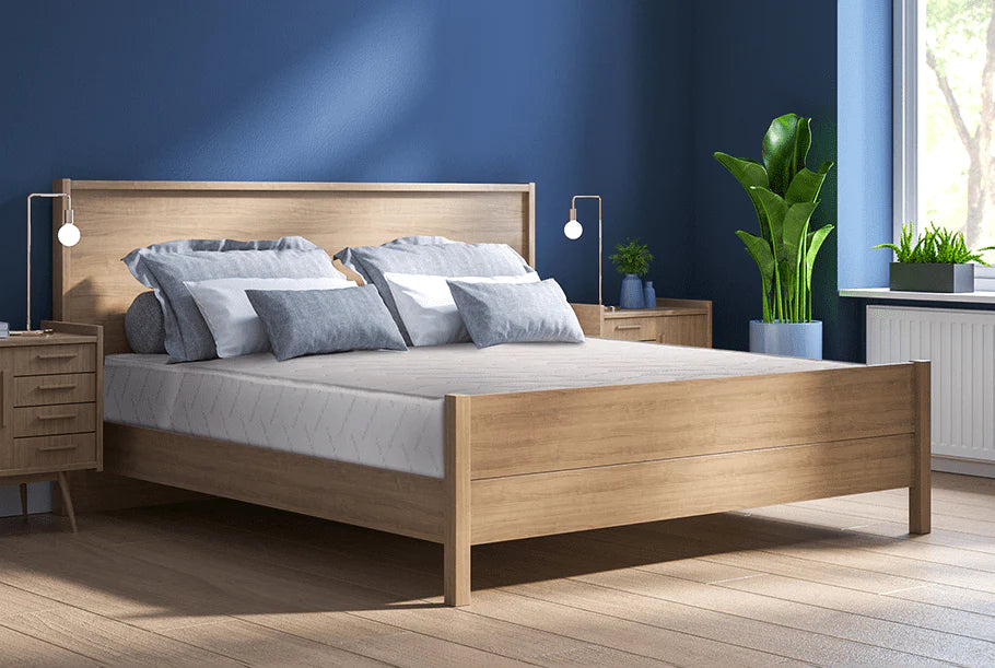 Dušek Argento od Sleepy